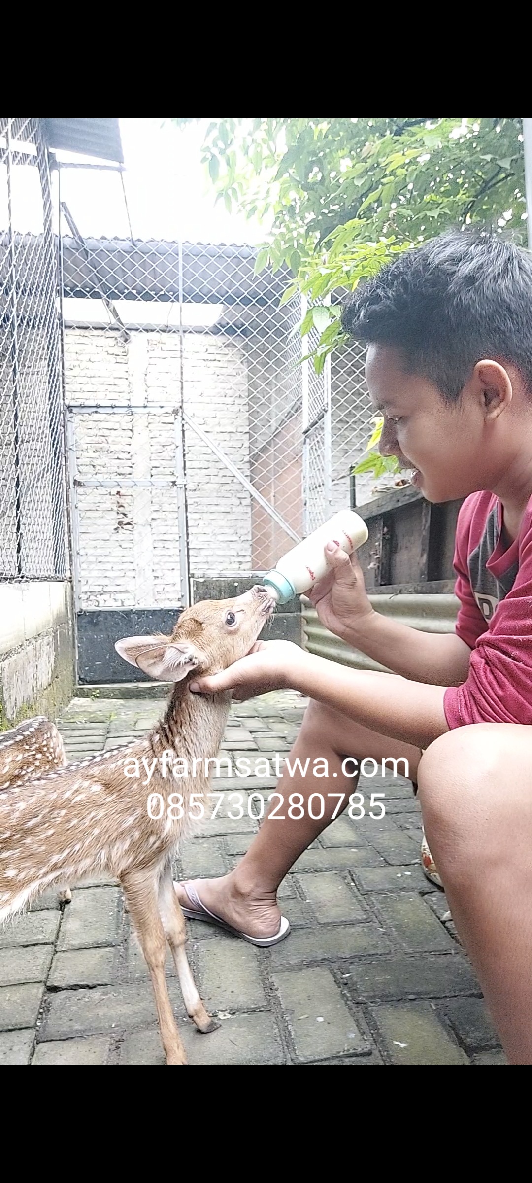 RUSA TOTOL